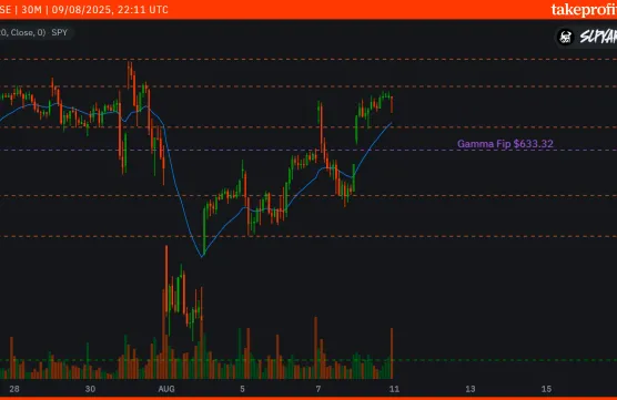 $SPY 8/11/25image