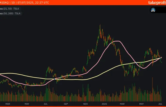$TSLA Trades Mindset Meets Momentumimage