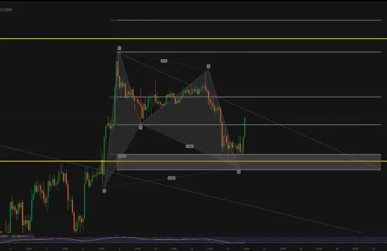BTC  - X-ABCD Intraimage