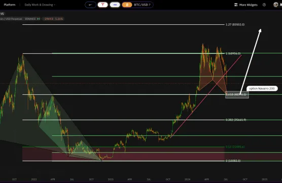 BTC Option NAVARRO 200image