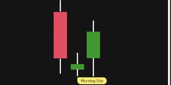 14. Morning Star Patternimage