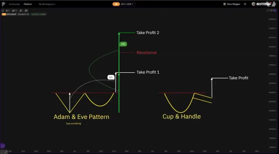 Work with Adam & Eve Pattern  [English Video]image